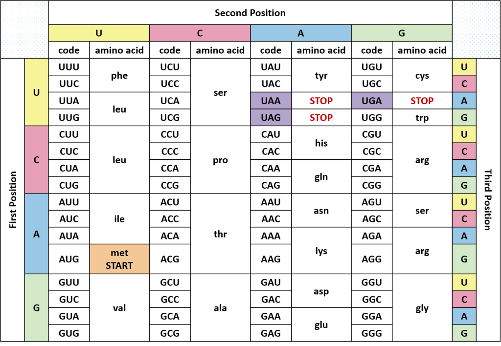 dna code chart