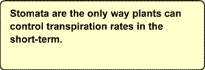 Stomata are the only way plants can control transpiration rates in the short-term.