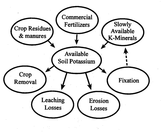 Summary | Soils - Part 6: Phosphorus and Potassium in the Soil - passel