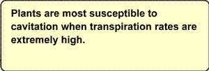 Plants are most susceptible to cavitation when transpiration rates are extremely high