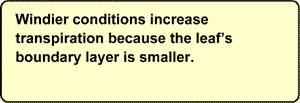 Windier conditions incrase transpiration because the leaf's boundary layer is smaller.