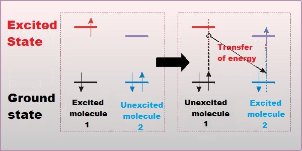 De Excitation Pathways The Interaction Of Light With Biological Molecules Passel