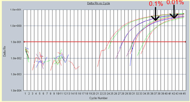 Using Data from Real Time PCR | Real Time PCR - Some Basic Principles ...