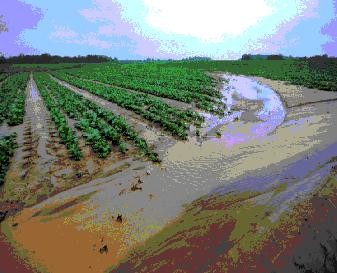 Water Erosion of Agricultural Land | Manure Phosphorus and Surface ...