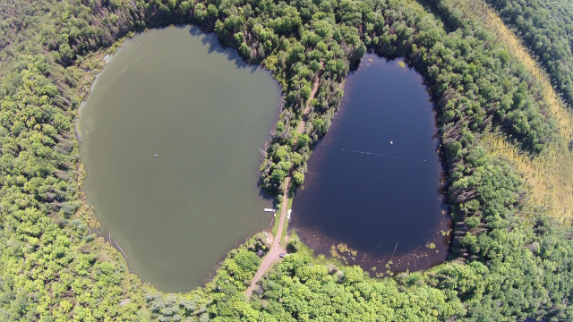 eutrophication lake before after