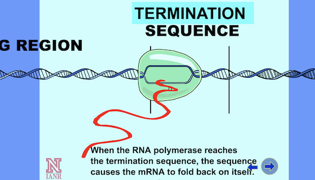 Termination Phase Guide: How to Get the Termination Phase Trophy