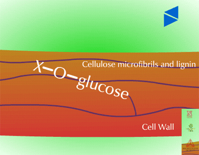benefits of taking liposomal glutathione Biotransformation of Pesticides across Biological Systems: Molecular  Mechanisms, Omics Insights, and Biotechnological Advances for Environmental  Sustainability main image 1