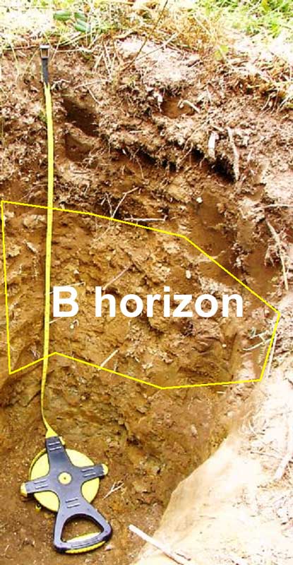 Close up soil profile cross section showing thin topsoil layer on