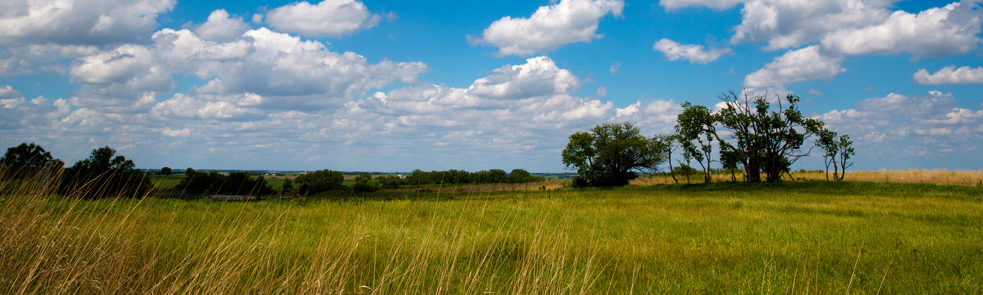 Prairie Banner