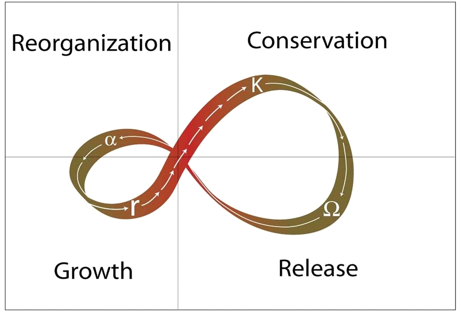 Introduction - What is Panarchy (and the Adaptive Cycle)? | Panarchy ...