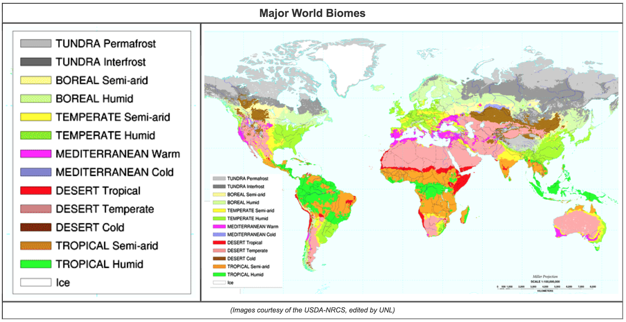 6.5 - Major Biomes | Soil Genesis and Development, Lesson 6 - Global Soil Resources and ...