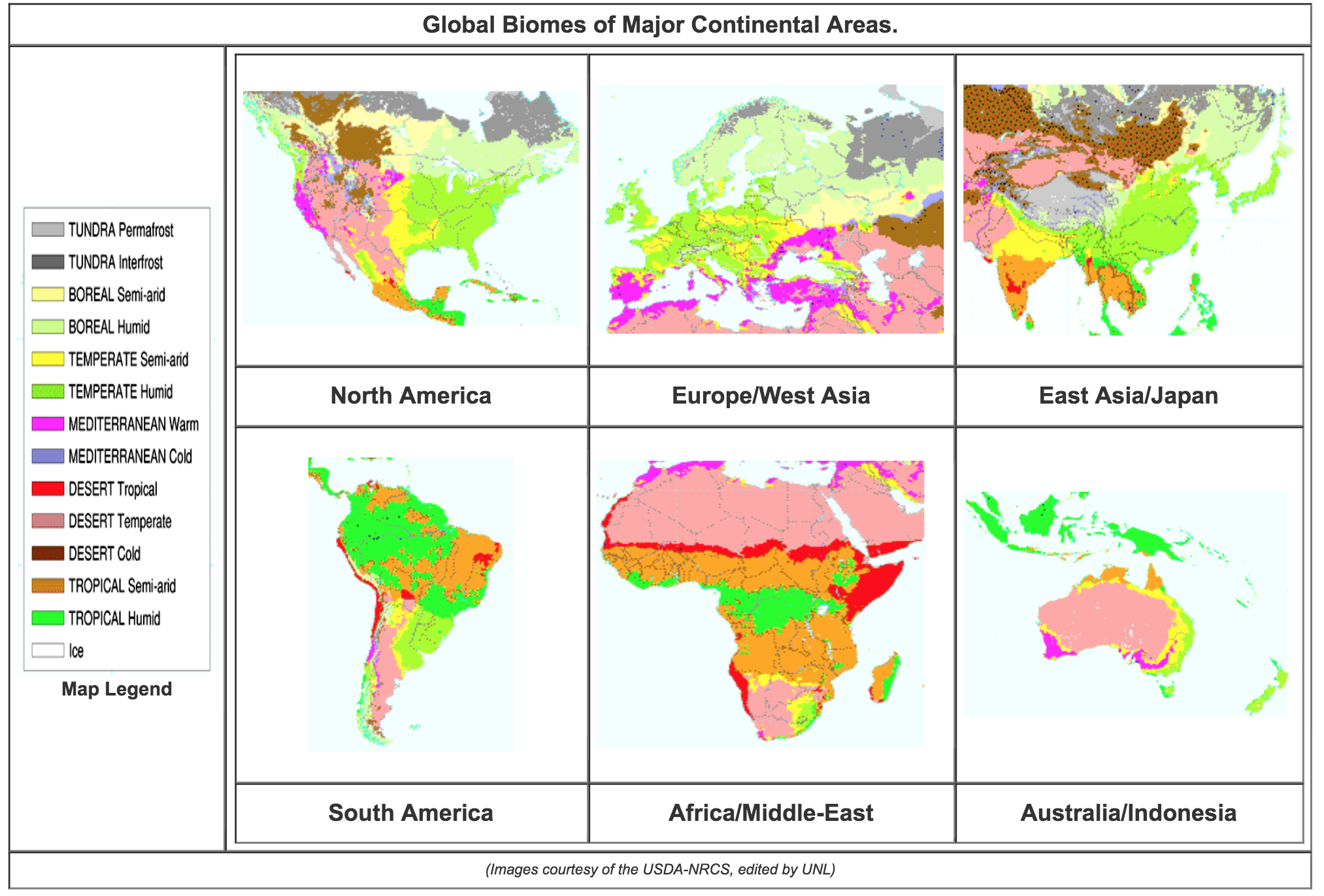 bioma-biomas-ecosistemas-bioma-images-and-photos-finder