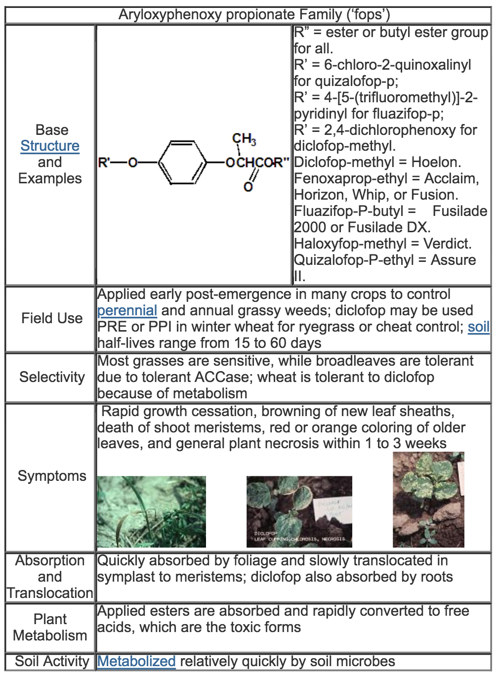 Herbicide Inhibitors of Fatty Acid Synthesis and Elongation | Inhibitors of  Fatty Acid Synthesis and Elongation - passel