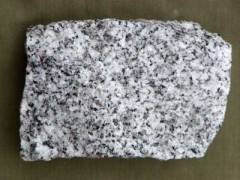 metamorphic rock gneiss