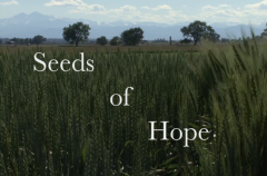 Seeds of Hope