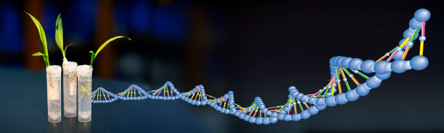 Genetics DNA Banner