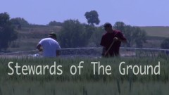 Stewards of the Ground