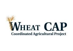 Wheat CAP Logo