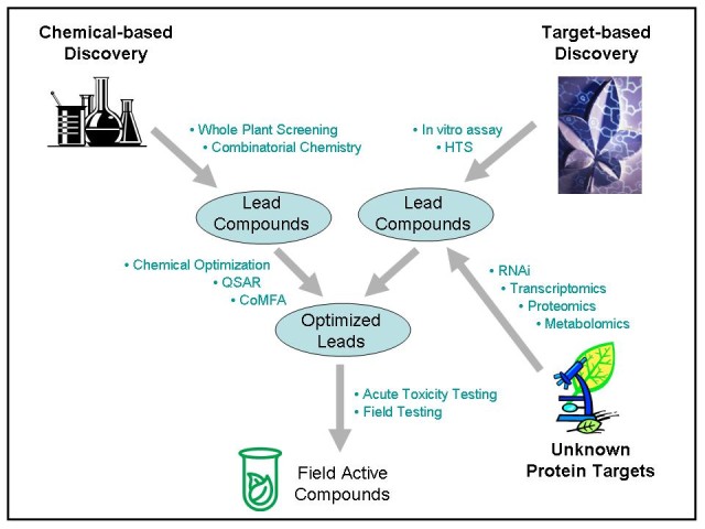 chemical-based discovery leads to lead compounds. Unknown protein targets and target-based discovery lead to lead compounds. Both lead compounds lead to optimized leads which leads to field active compounds.