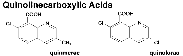 The chemical structure of quinmerac and quinclorac, both quinolinecarboxylic acids.