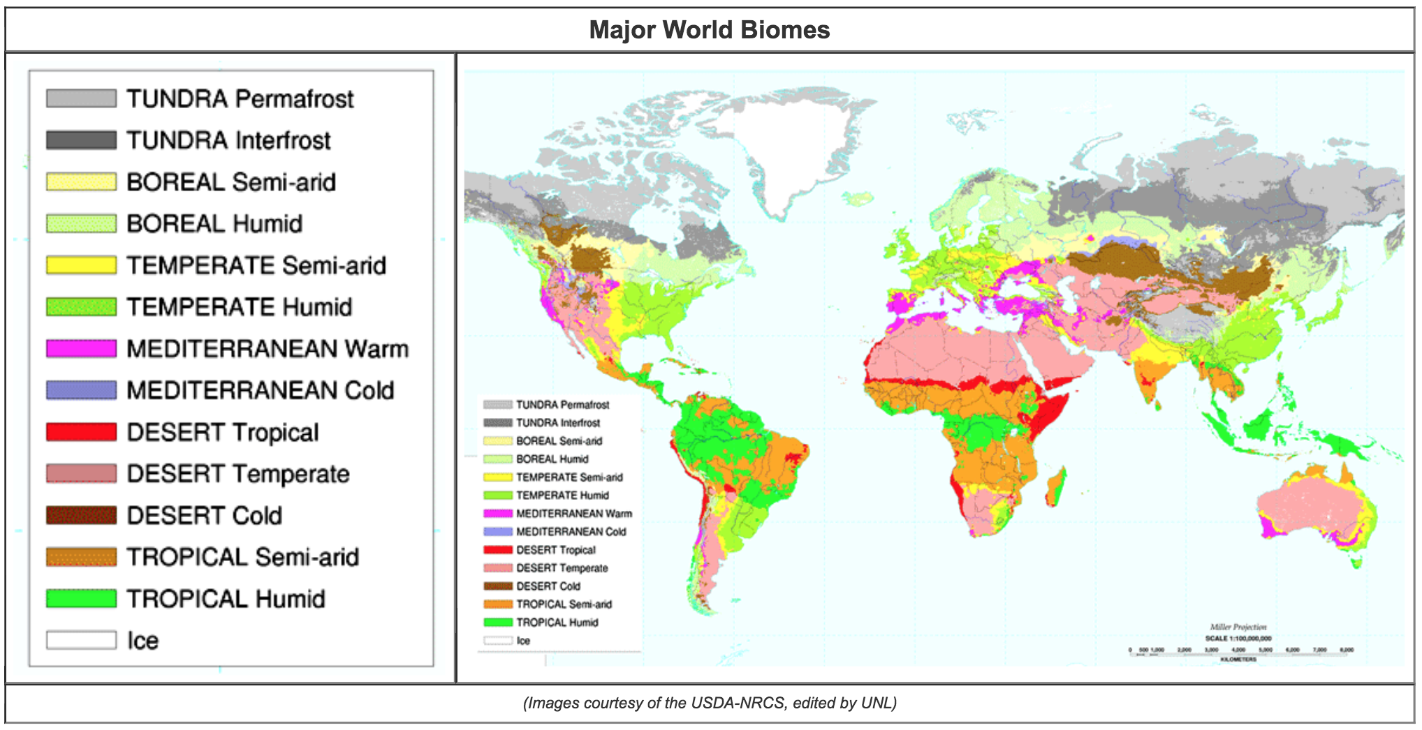 major world biomes map