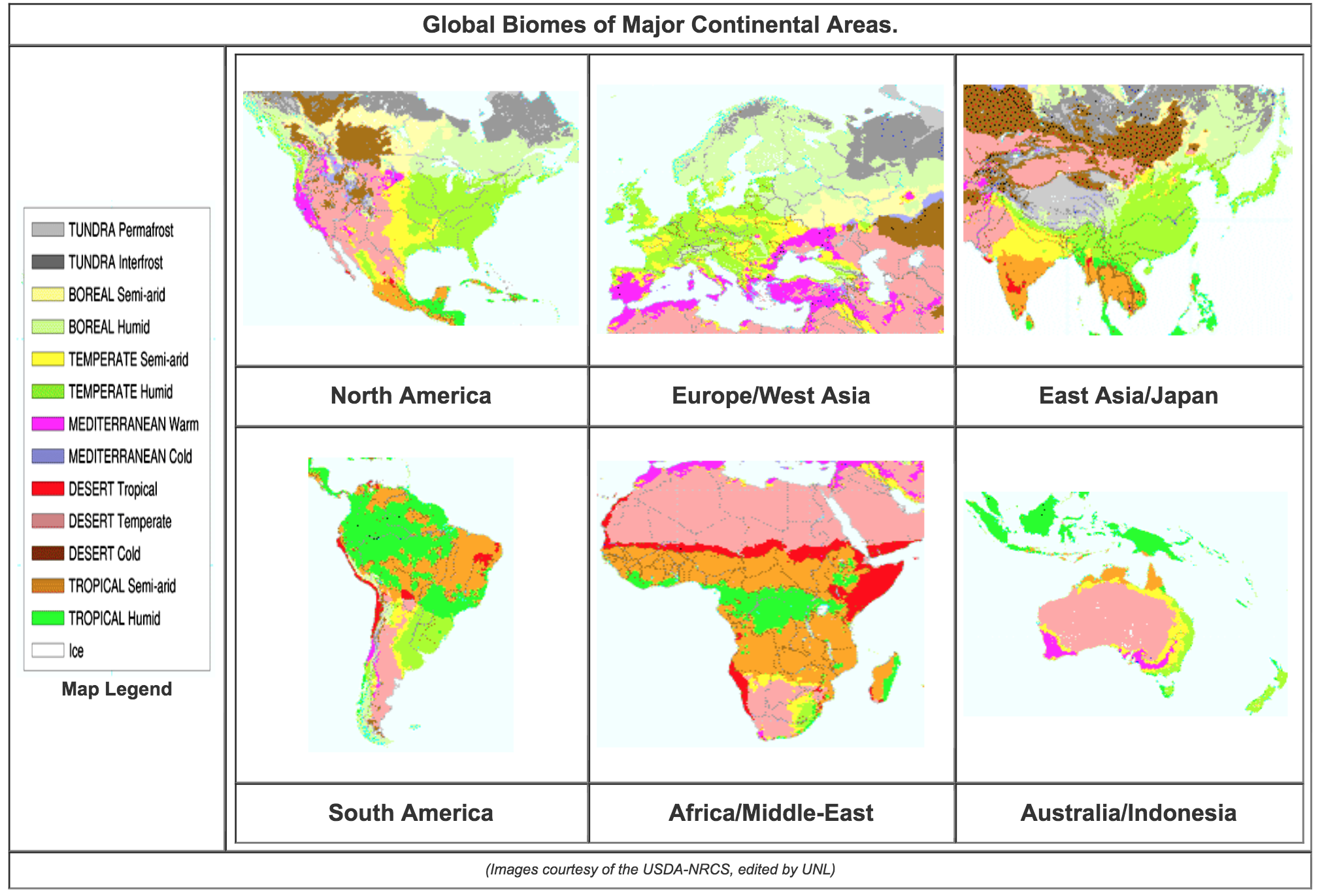 major world biomes map by continent