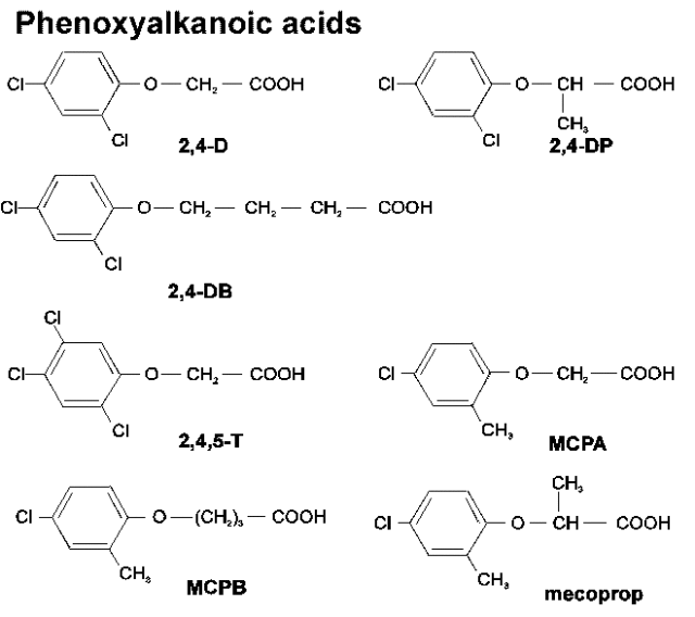 the structure of 2,4-D, 2,4-DP, 2,4-DB, 2,4,5-T, MCPB, MCPA, and mecoprop. All of them are phenoxyalkanoic acids