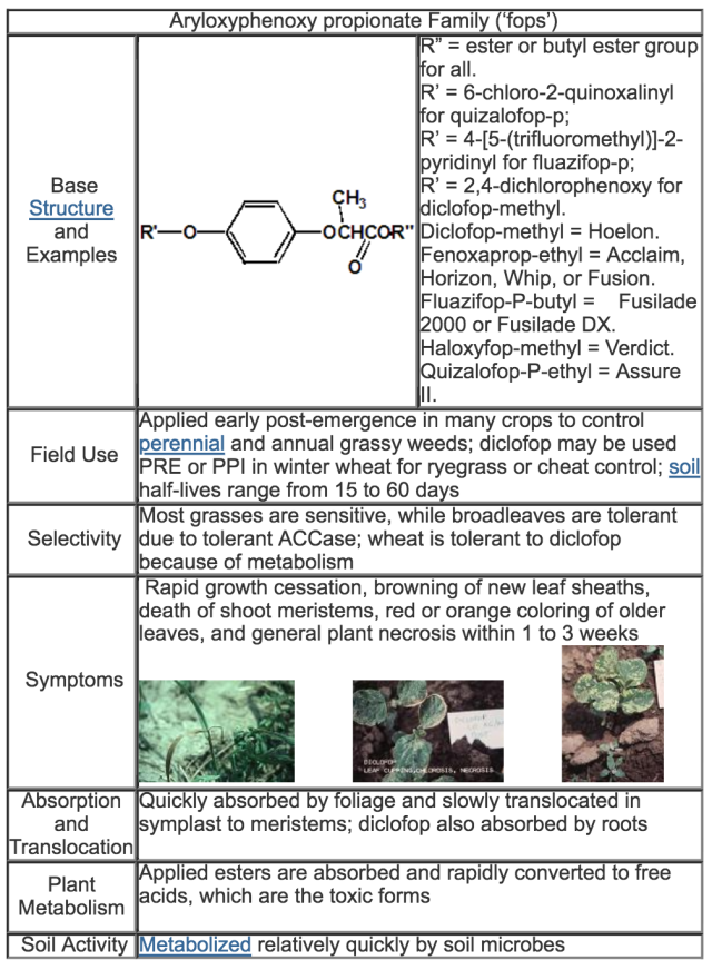 table detailing the base structure and examples of fops, their field use, selectivity, symptoms, absorption and translocation, plant metabolism, and soil activity