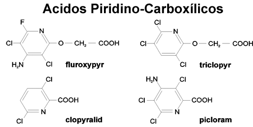 Ácidos piridino-carboxílicos: fluroxypyr, clopyralid, triclopyr, y picloram