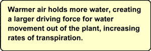 Warmer air holds more water, creating a larger driving force for water movement out of the plant, increasing rates of transpiration.