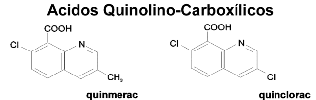 Ácidos quinolino-carboxílicos: quinmerac, quinclorac