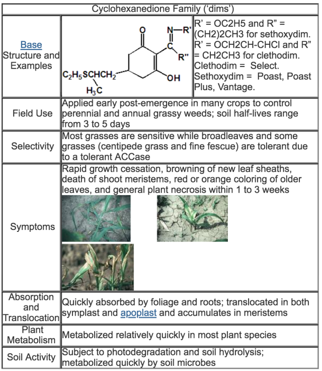 table detailing the base structure and examples of 'dims', their field use, selectivity, symptoms, absorption and translocation, plant metabolism, and soil activity