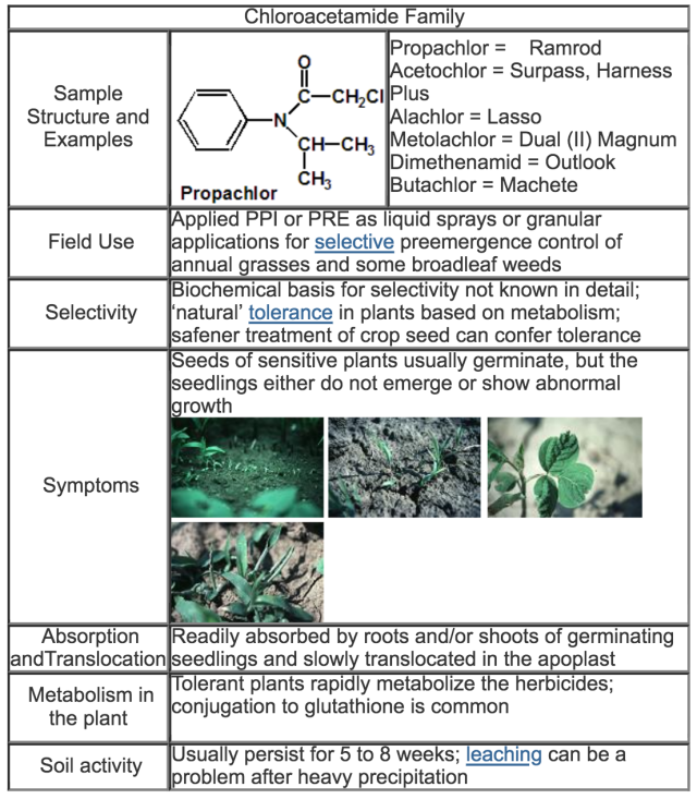 table detailing the base structure and examples of chloroacetamides, their field use, selectivity, symptoms, absorption and translocation, plant metabolism, and soil activity