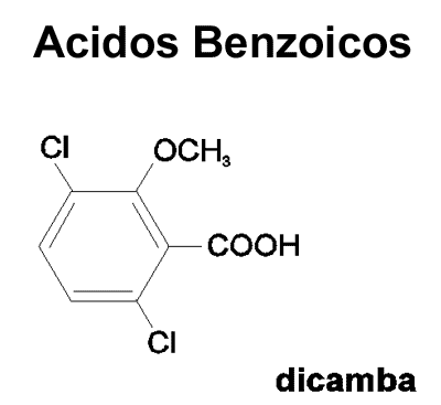 Ácidos benzoicos: dicamba