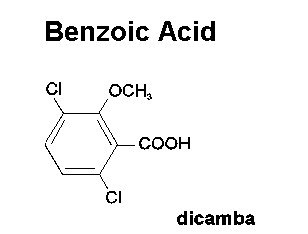 the chemical structure of dicamba, a benzoic acid.