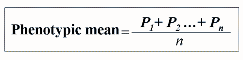 penotypic mean = (P1 + P2 .... + Pn)/n