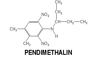 pendimethalin chemical structure