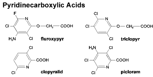 The chemical structure of four pyridinecarboxylic acids (fluroxypyr, clopyralid, triclopyr, and picloram)