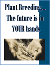 Plant Breeding, the future is in your hands. photo of hands holding wheat.