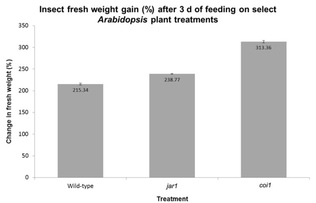 Insects gained 215.24% on wild-type treatment, 238.77% on jar1 treatment, and 313.36 on coi1 treatment. All means are statistically different from each other.